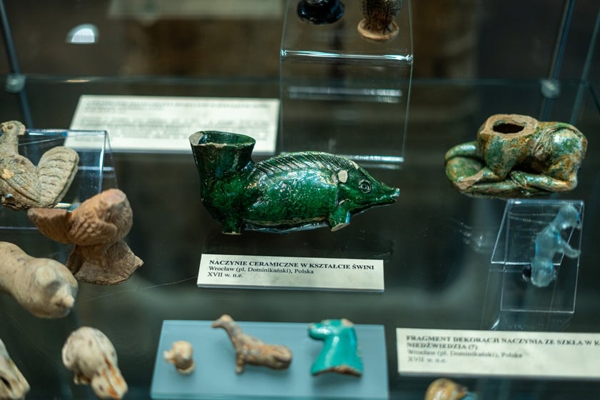 Wystawa Artificalia, naturalia, exotica w Muzeum Archeologicznym we Wrocławiu